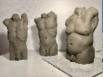 Torsos